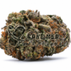Buy Black Dolphin Strain Online