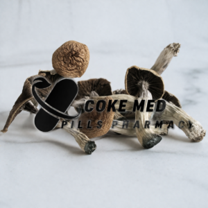 Buy Mazatapec Magic Mushroom Online